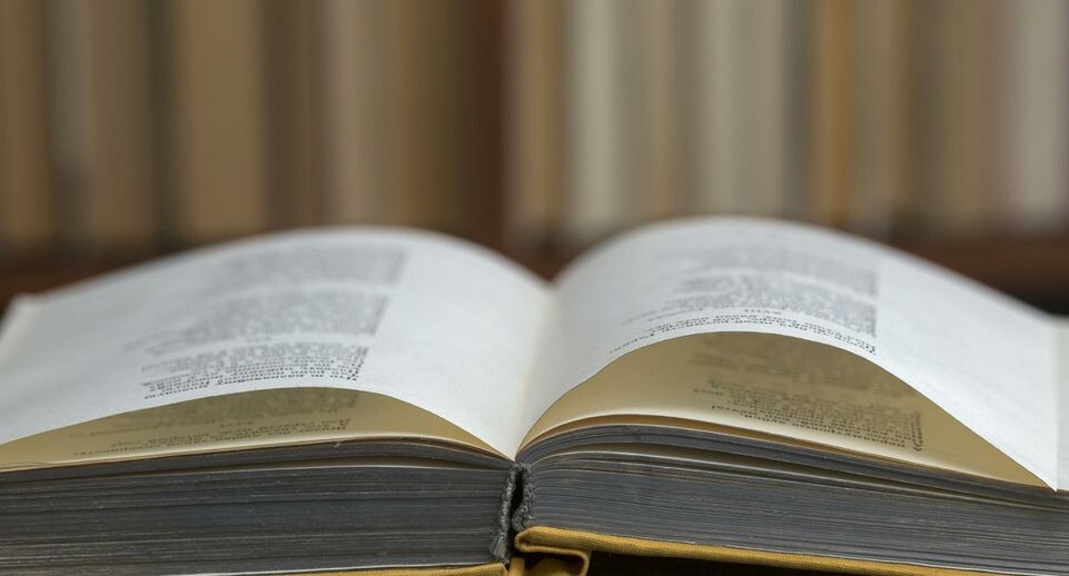    Nikolay Gyngazov/Russian Look / www.globallookpress.com