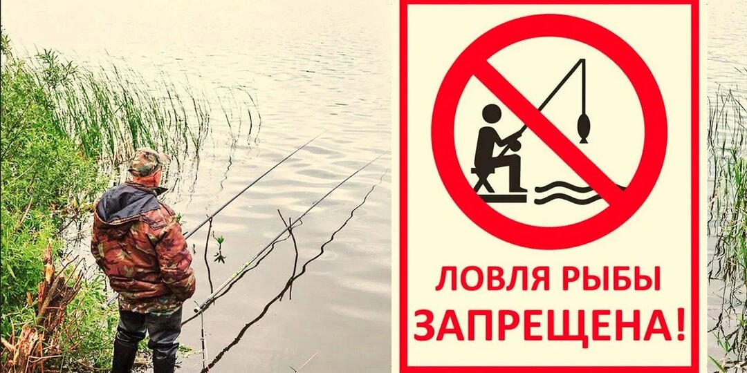 Новые правила рыбалки 2026
