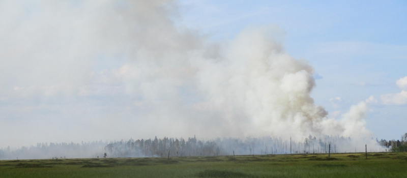    Национальный парк «Водлозерский»