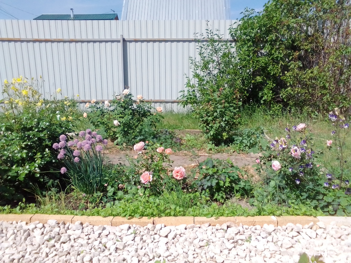 В центре Абрахам Дерби, справа - Эйншент Маринер