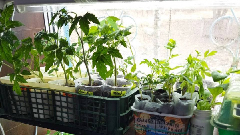    Фото из архива редакции