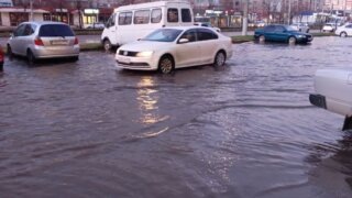    фото: Лера Тарханова Людмила Лата