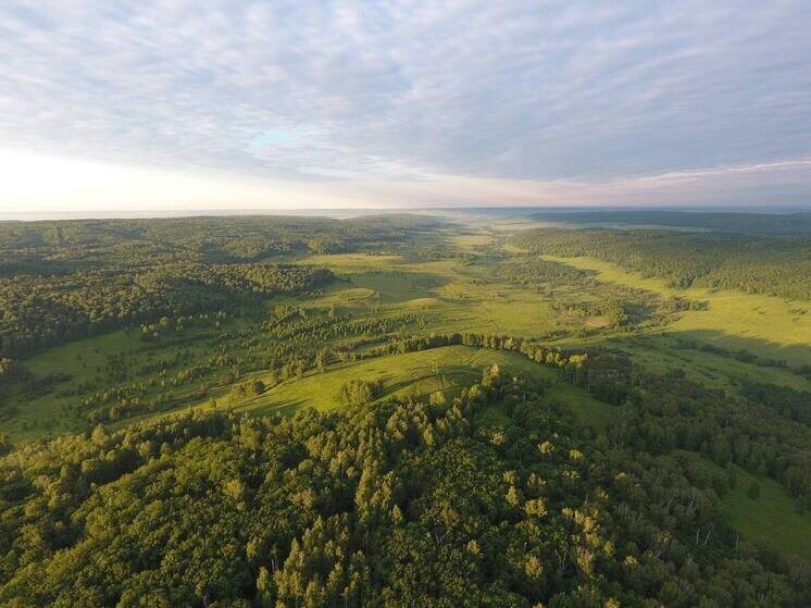     Фото: телеграм-канал Минприроды Самарской области
