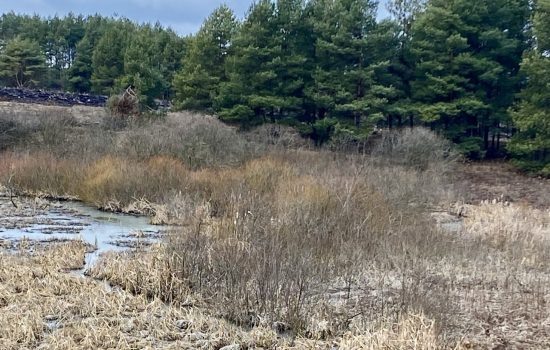    Фото: ИА "Орелград" / Светлана Числова