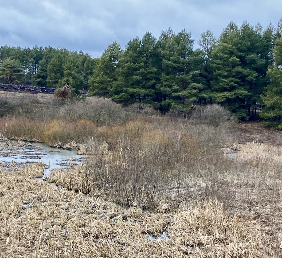    Фото: ИА “Орелград” / Светлана Числова