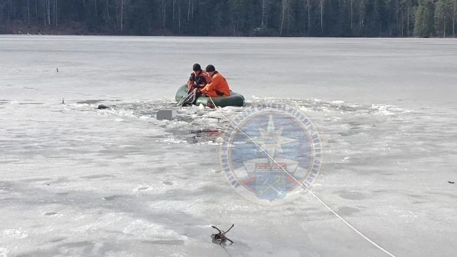 Фото: https://max.ru/id7825437330_gos/AZ0MFDT-WBk