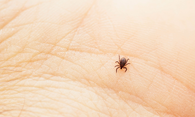    фото: © Людмила Корвякова