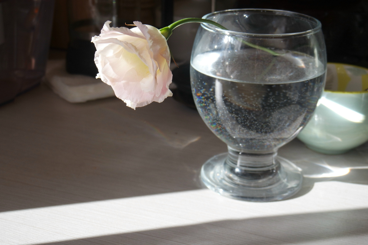 утро выходного дня в марте и дома...