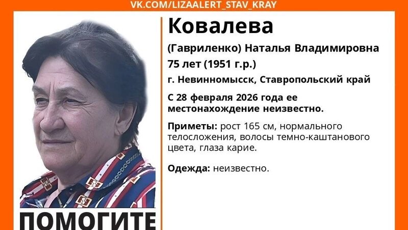      Фото: ЛизаАлерт