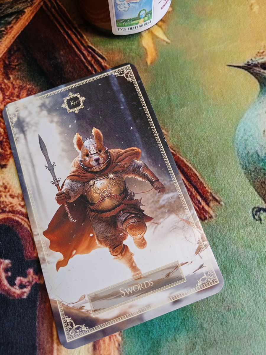 Рыцарь Мечей