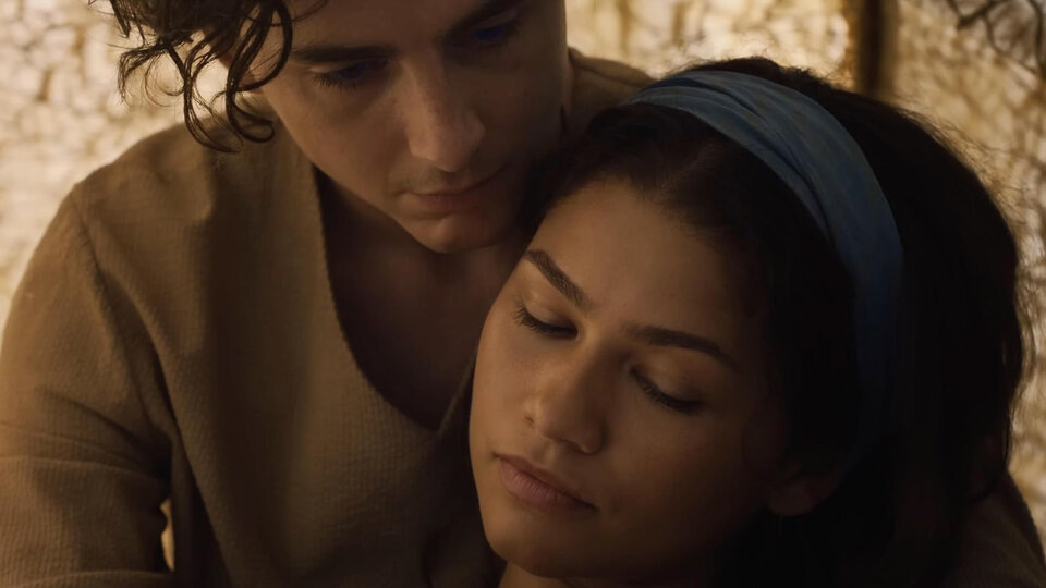    Тимоти Шаламе и Зендея