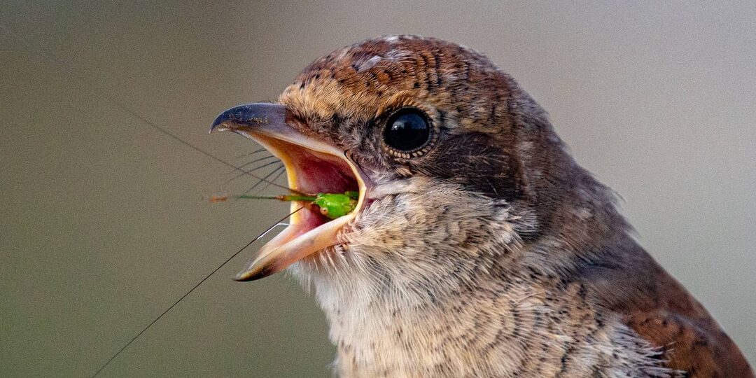 Эти фото выглядят слишком нереально, чтобы быть случайными, однако…