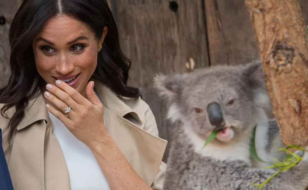 Австралийский вояж Меган и Гарри: миллионные траты,шары из нечистот и полный провал