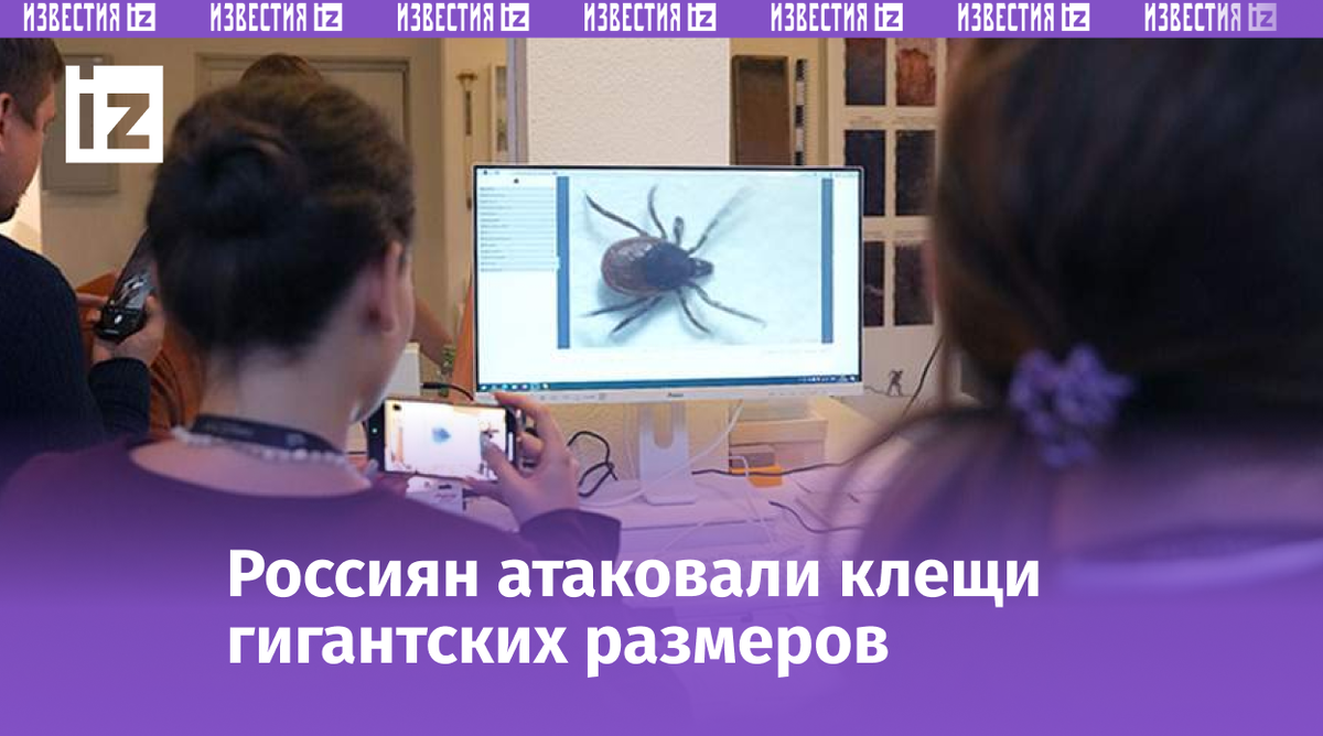 Фото: ИЗВЕСТИЯ/Дмитрий Коротаев