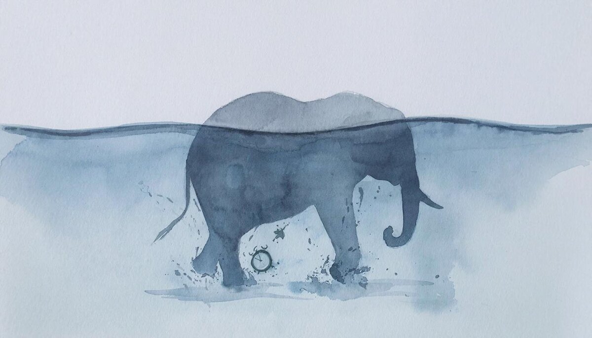 Когда даже слона уносит подводное течение.