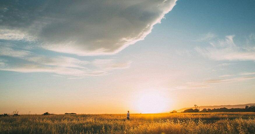 Фотография Оскара Гомеса с сайта Unsplash.Нажмите Enter или щелкните, чтобы просмотреть изображение в полном размере.