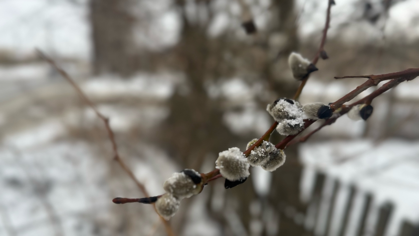    Фото из архива редакции