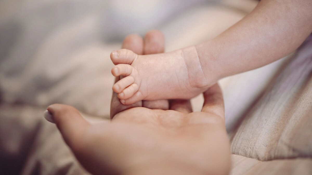    Фото: Юлия Чудинова/«Ямал-Медиа»