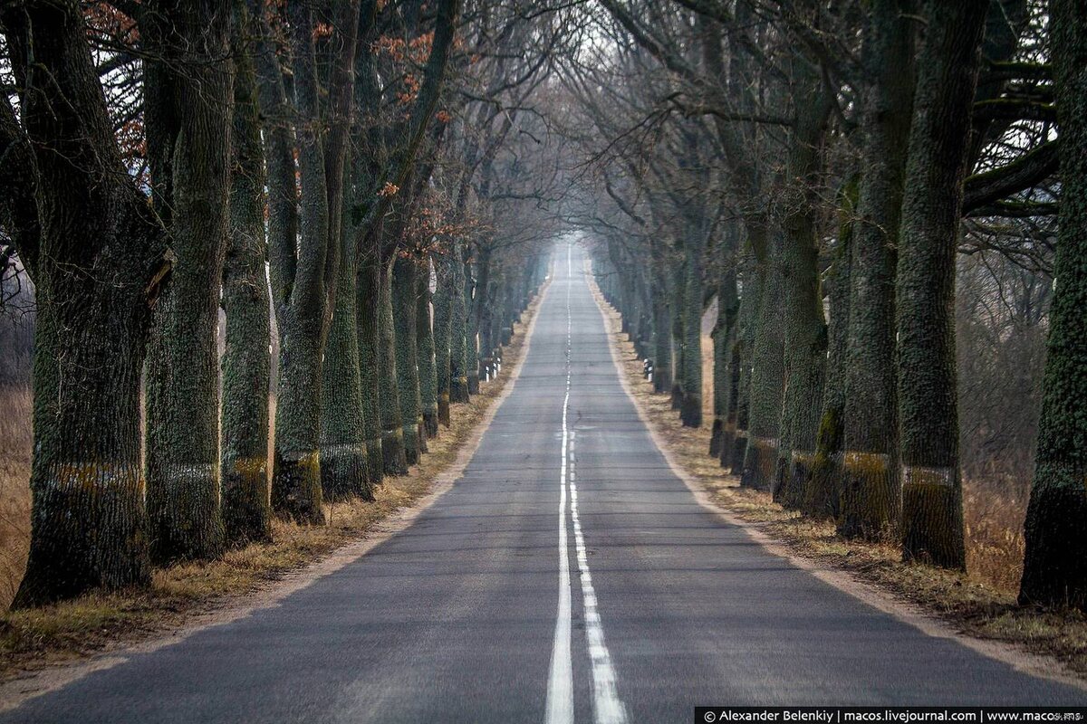 фото из свободных источников по запросу - листать вправо