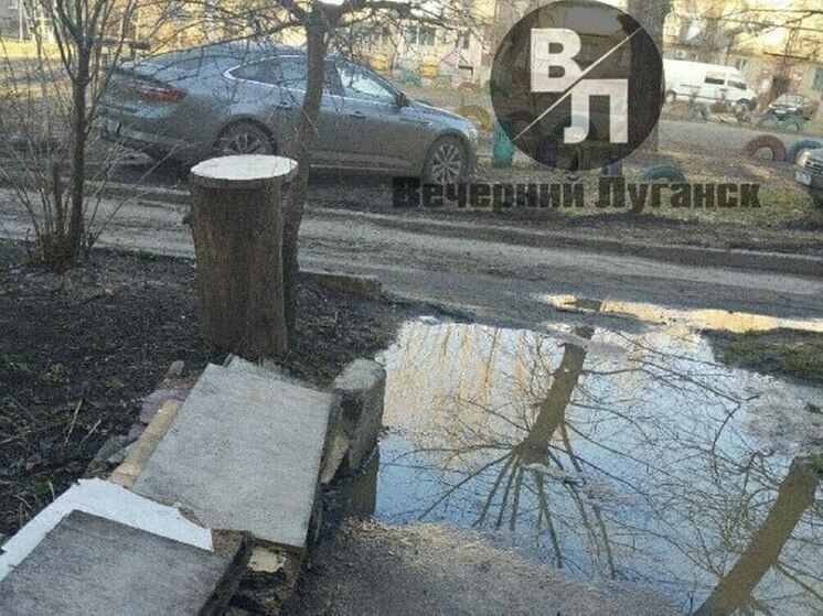     Фото: телеграм-канал «Вечерний Луганск»