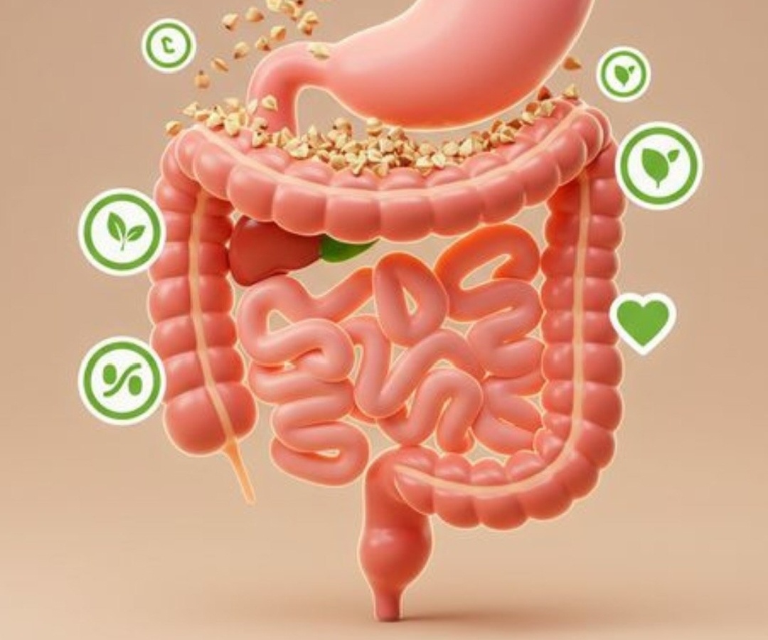 фото: так выглядит этот орган