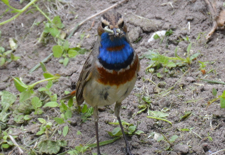 Полезное занятие