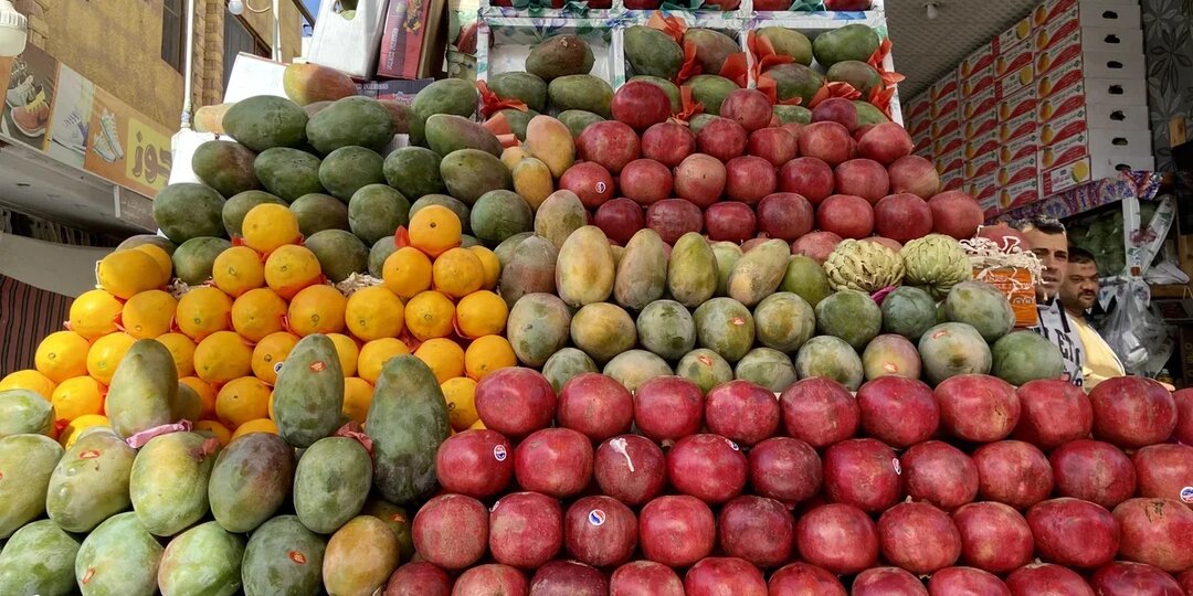 Фруктовый календарь Египта: что и когда созревает
