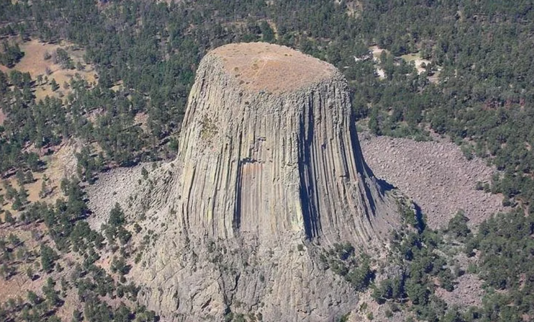 Башня Дьявола и другие «пни»: почему учёные не верят в гигантские деревья прошлого?