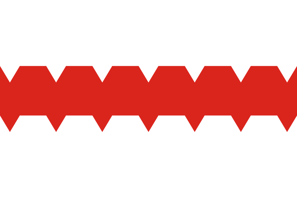 Флаг Омска.