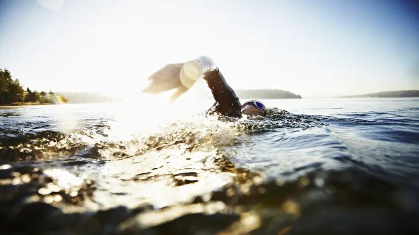    Источник: russian.rt.com Екатерина Авдеева