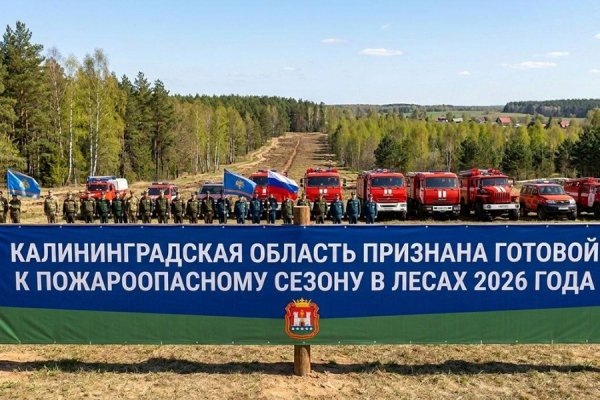 Калининградскую область признали готовой к пожароопасному сезону в лесах