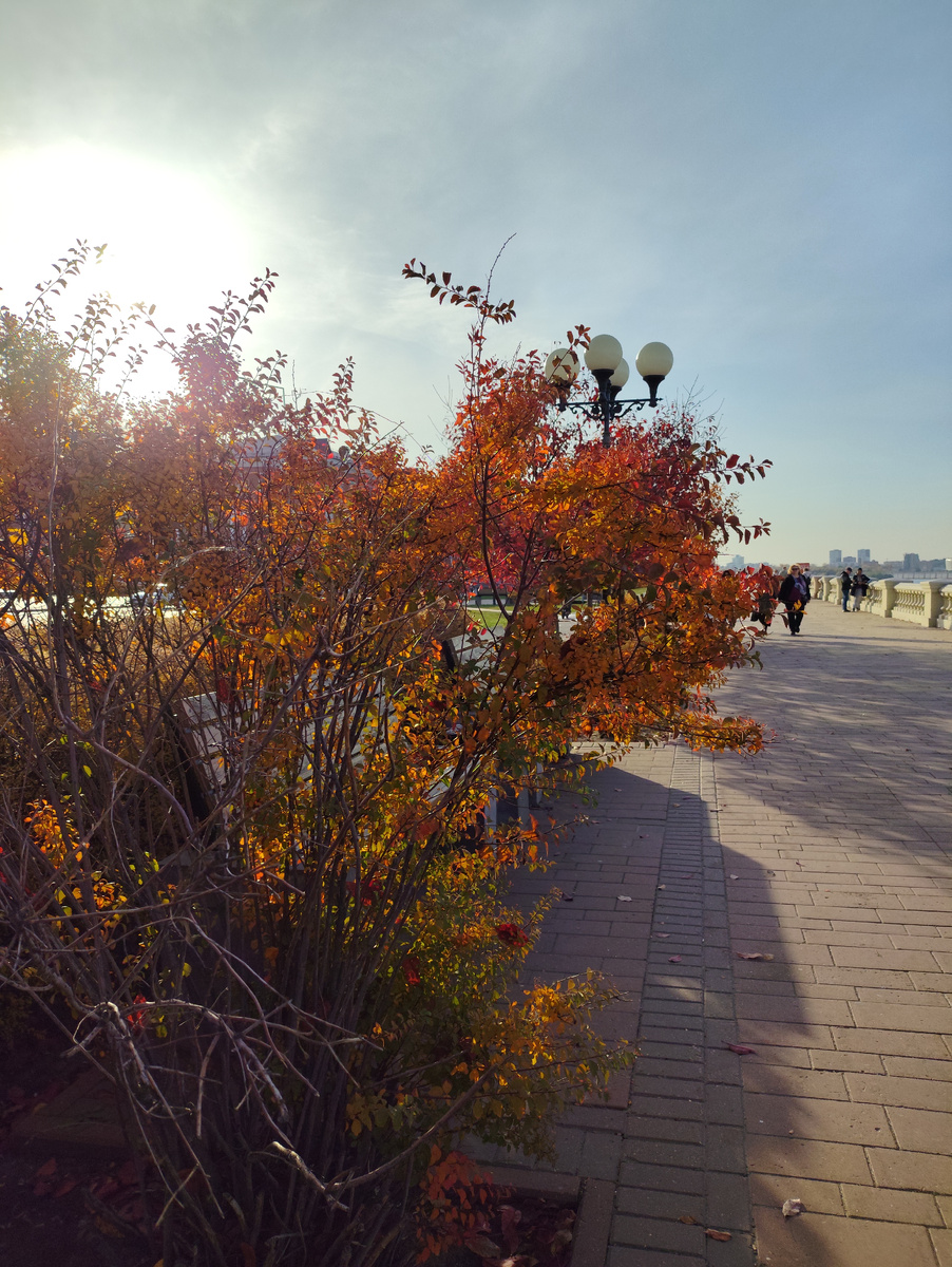Золотая осень. Нижне-Волжская набережная в Нижнем Новгороде 