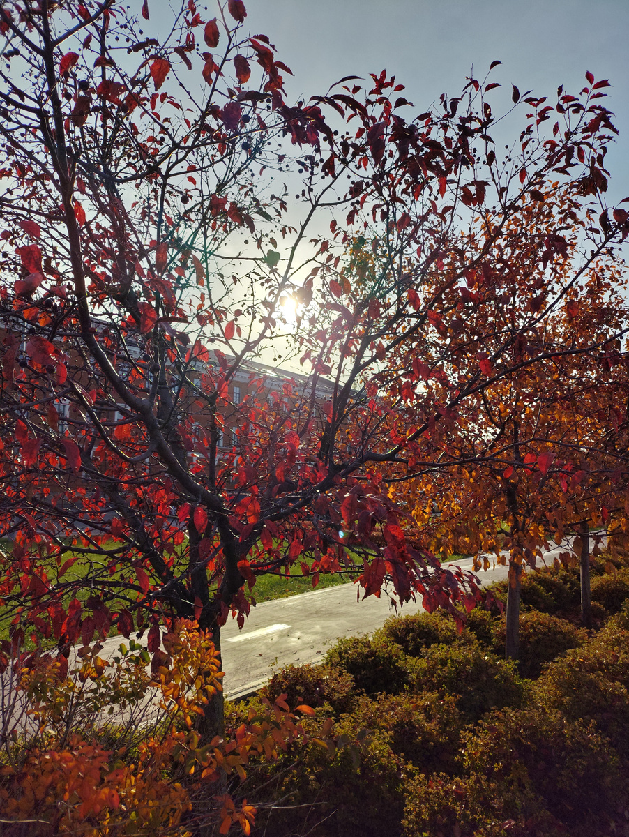 Золотая осень. Нижне-Волжская набережная в Нижнем Новгороде 