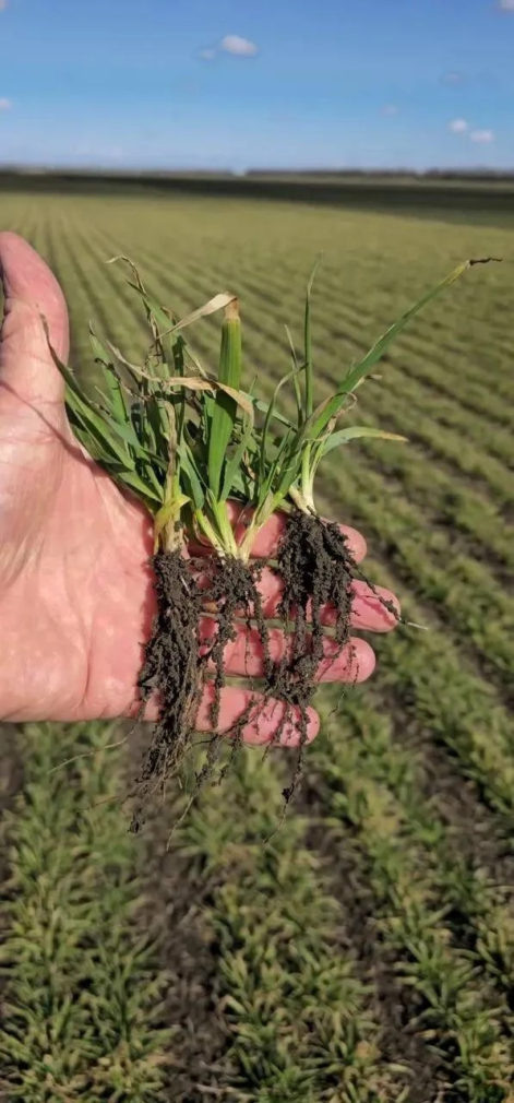    Фото: администрация Кировского округа Светлана Уварова