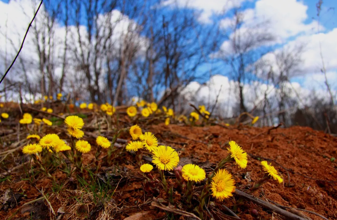 Фото из открытых источников