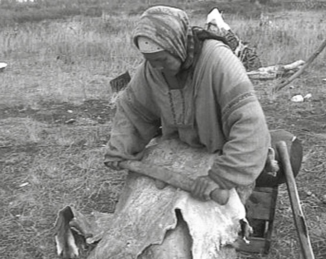    Фотография работы двуручным скребком в 1990-х гг. у коряков Камчатки