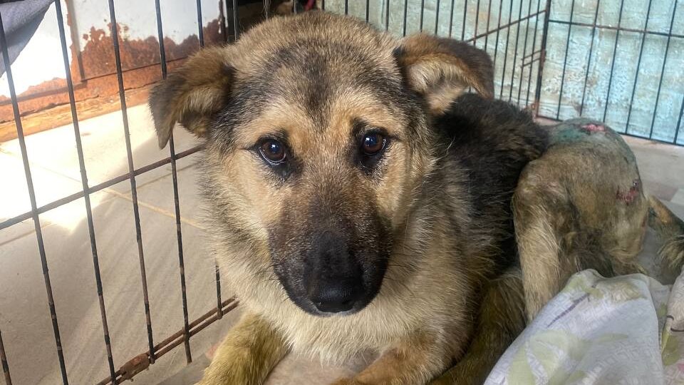 Новости из медблока.