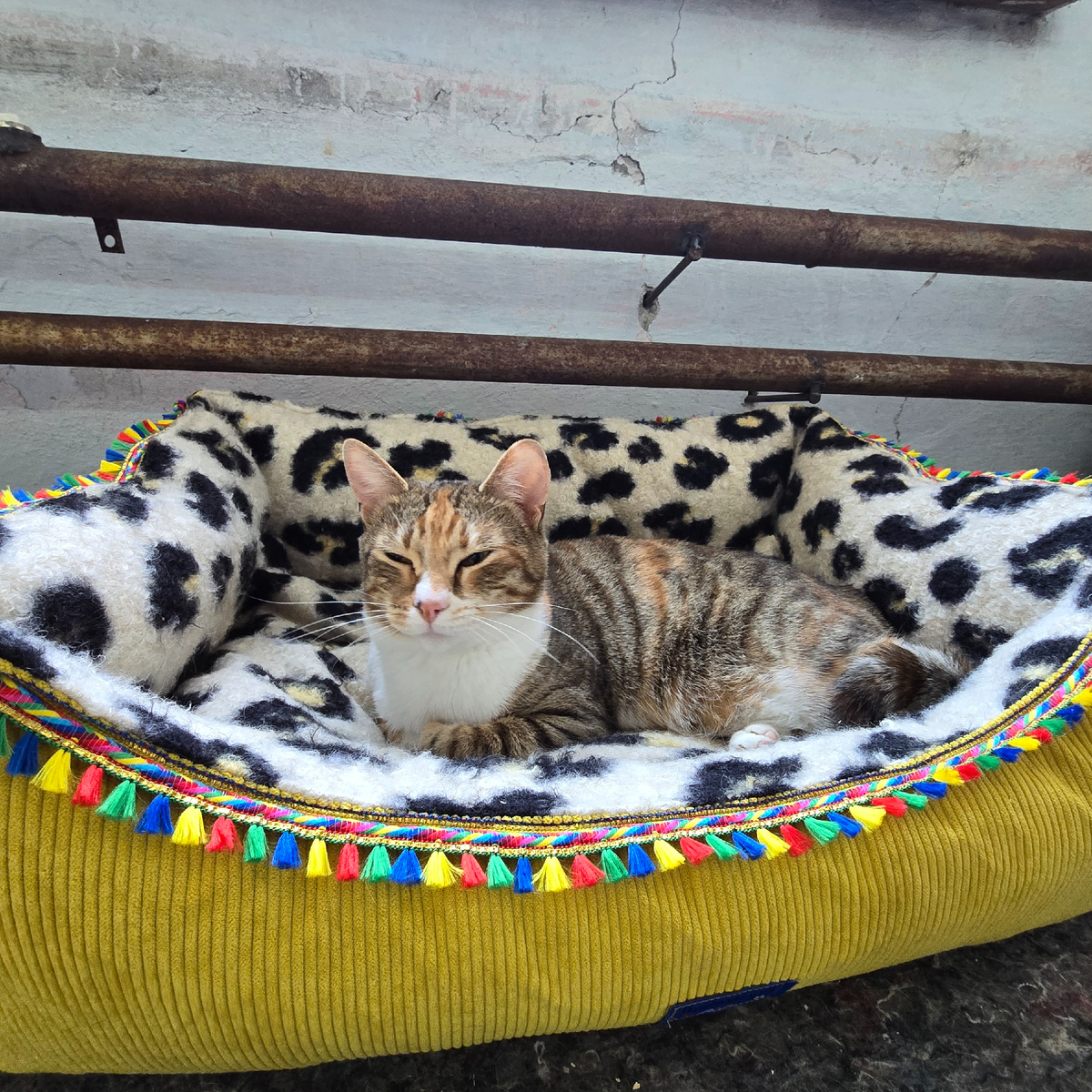 уютная постелька хранит надежды