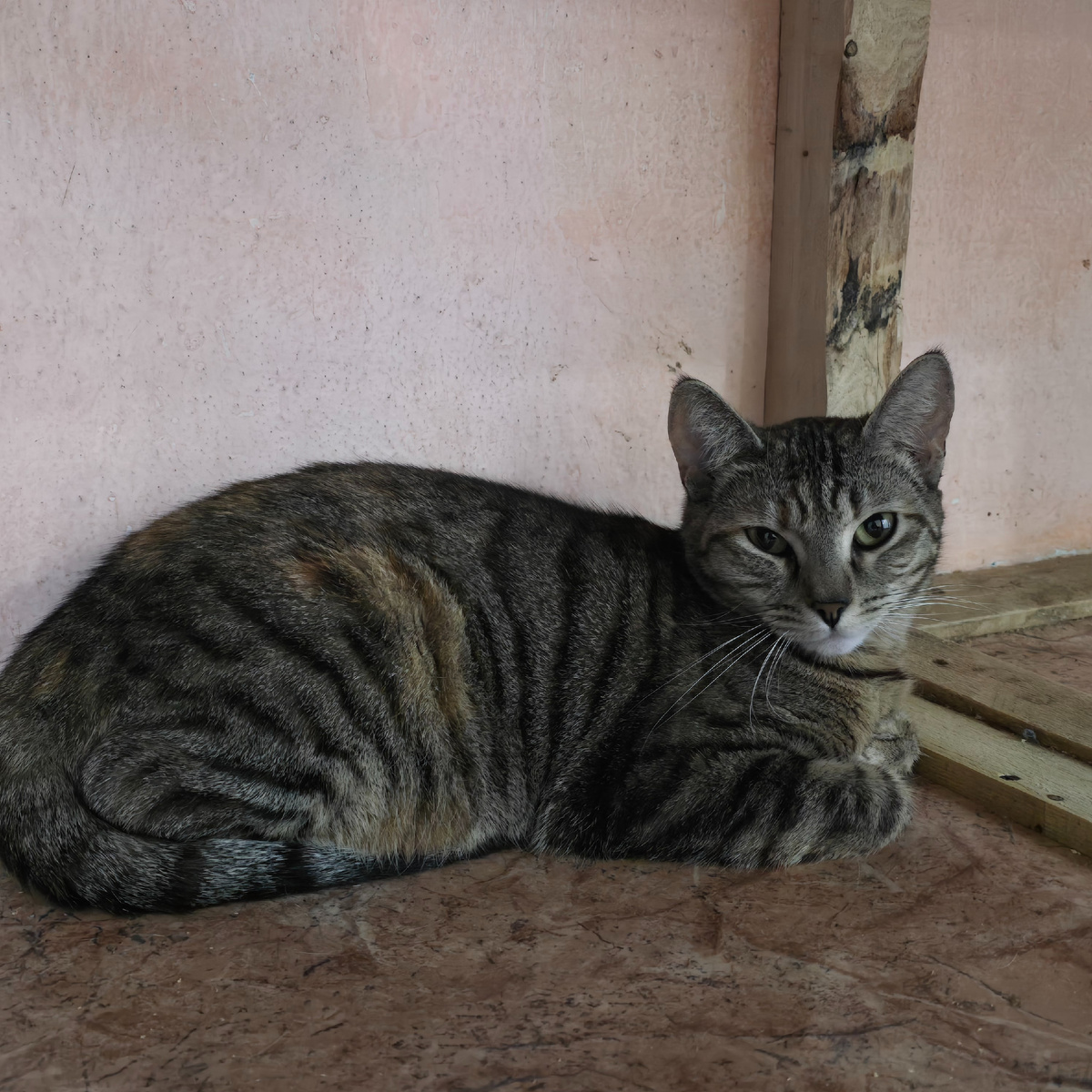 осторожность в каждом движении