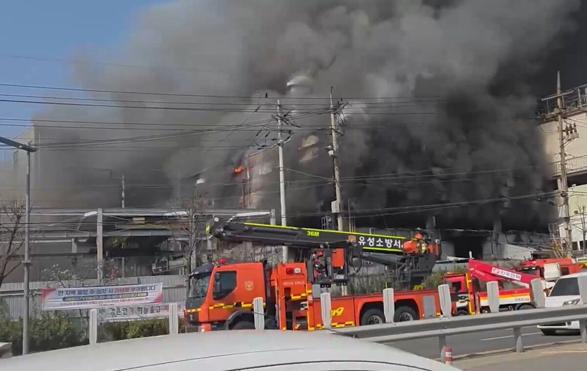     / Источник: кадр из видео