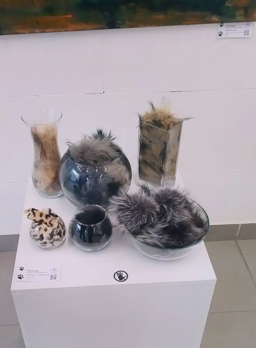 Котики -это жидкость 