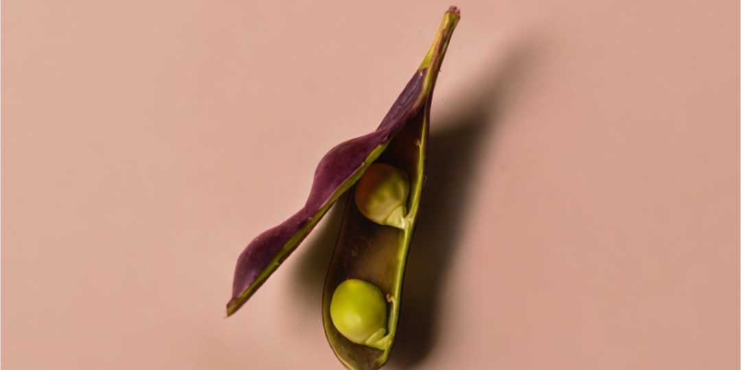 Где могут вырасти полипы?