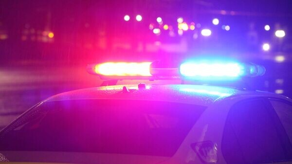    © Sputnik / Mihai Caraus