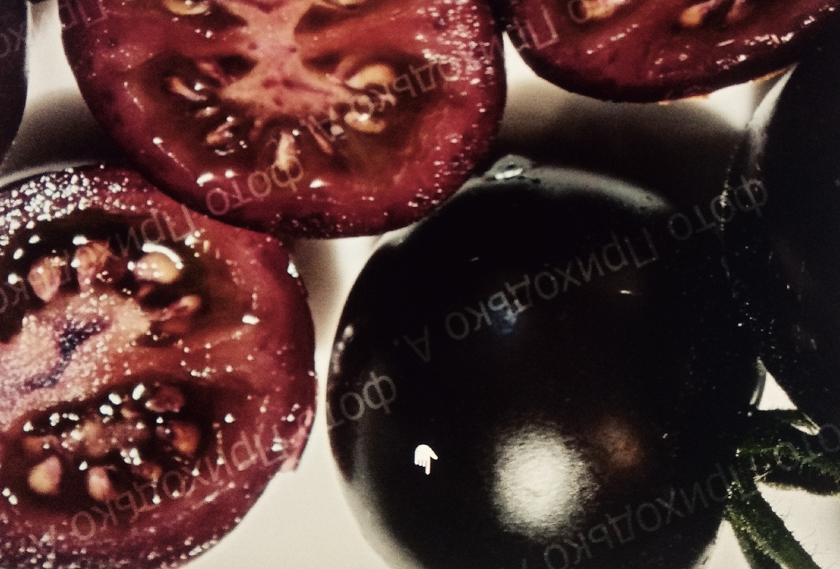 Фотография от Анна. Деловой Енот.