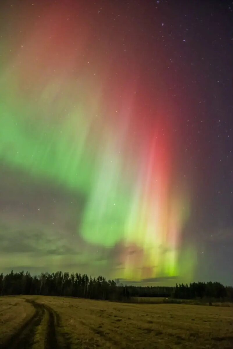    Фото: кадр видео из телеграм-канала «АстроФотоБолото Атмосферное»