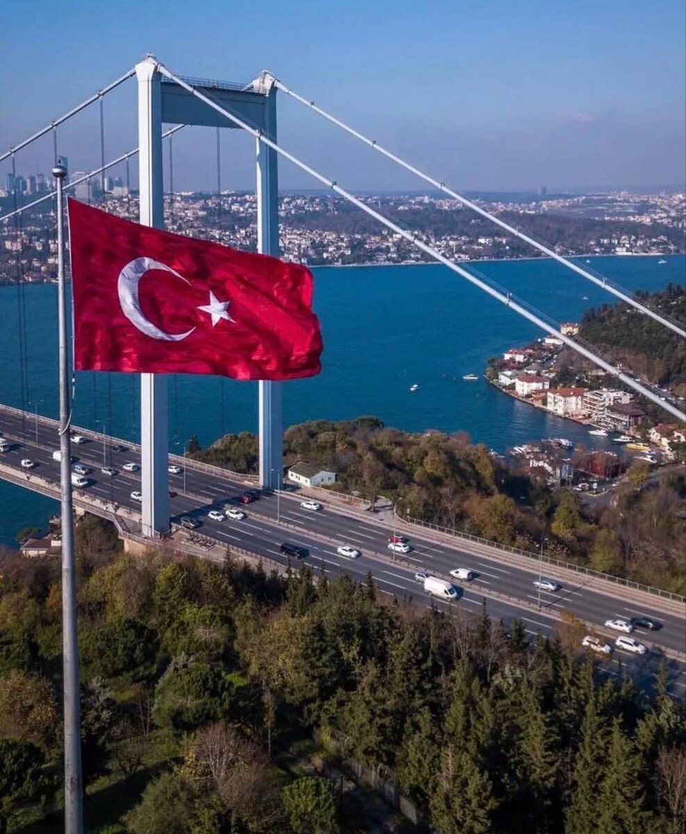 Источник: https://uk.pinterest.com/ideas/turkish-flag-decoration/935273038153/