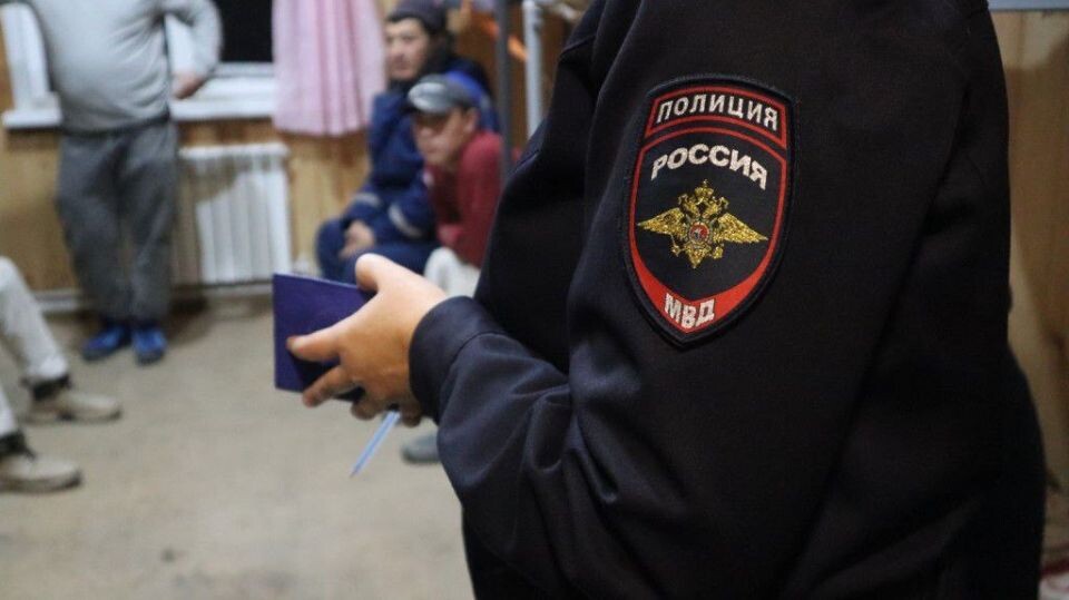    МВД. Полиция. Источник: МВД Республики Алтай