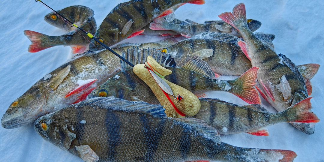 4 самые ловчие блесны у меня в этом сезоне