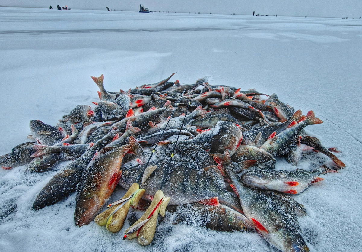 Слева Лаврушка2 впай, справа Блик подвес.