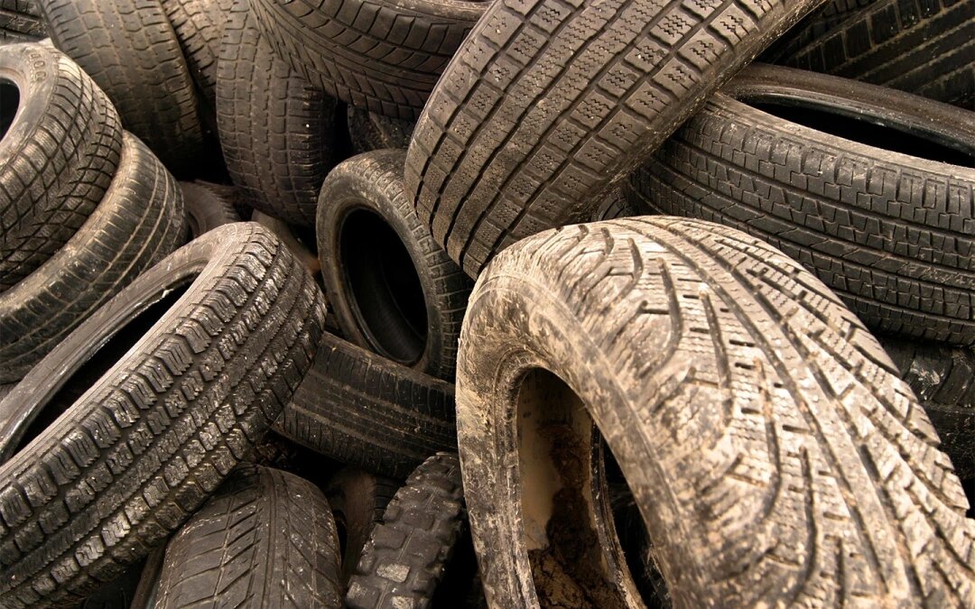 Фото: Alfred Schauhuber / imageBROKER / Global Look Press